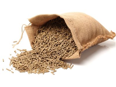 established-rural-stockfeed-business-property-5
