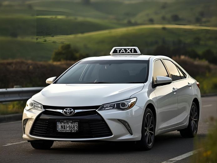 profitable-regional-taxi-service-only-provider-on-the-tablelands-0