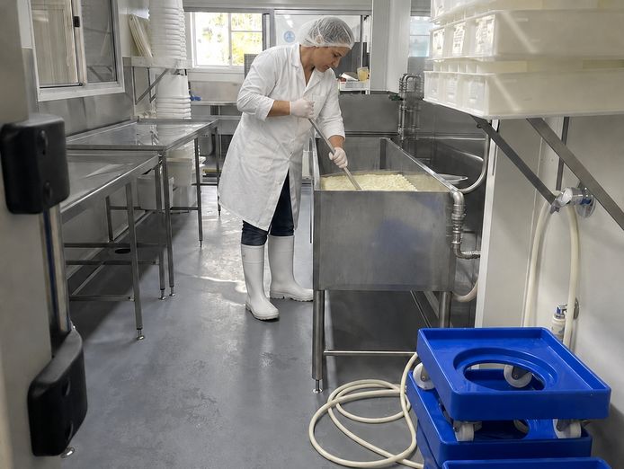 a-freehold-regional-food-business-that-already-runs-itself-5