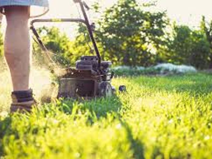 mower-sales-servicing-south-brisbane-0