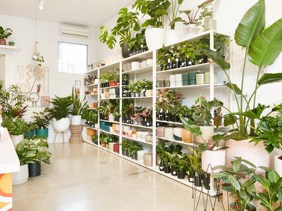 little-green-obsession-richmond-3