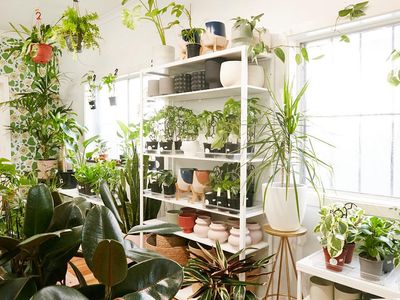 little-green-obsession-richmond-4