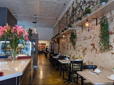 hanoi-rose-brunswick-9