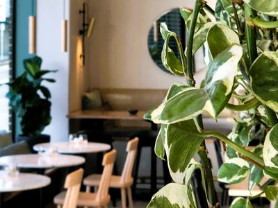 docasa-ivanhoe-2