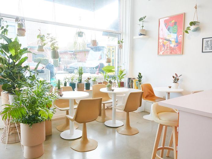 little-green-obsession-richmond-1