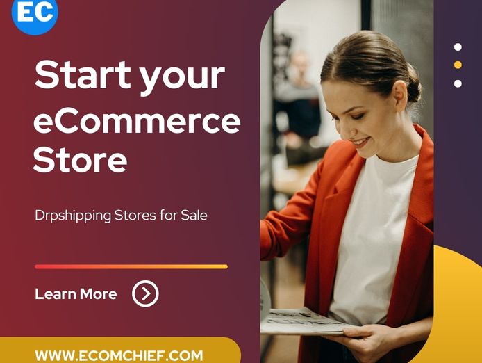 online-ecommerce-dropshipping-business-website-for-sale-3