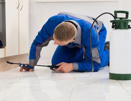 34577 Well-Established Pest Control Services Business