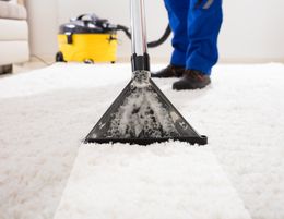 34024 Professional Home Cleaning Business - Renowned Brand
