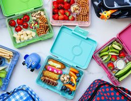 34314 eCommerce Opportunity - Renowned Online Lunchbox Store