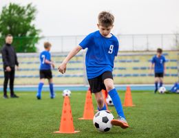 34433 Profitable Children's Soccer Coaching & Training Business