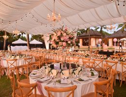 33136 Wedding & Event Decorator Business - Forward Bookings!