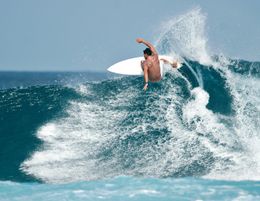 33017 Profitable Online Surf Shop - Price Negotiable