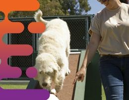 34394 Established Dog Day Care & Grooming Business