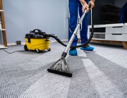 33151 Reputable Carpet Cleaning Business - Highly Profitable!