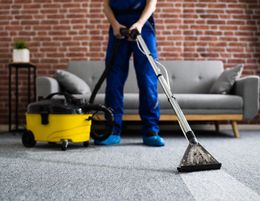 34416 Mobile Carpet Cleaning & Pest Control Business
