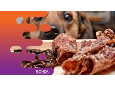 35027-thriving-pet-food-retailer-niche-market-presence-1
