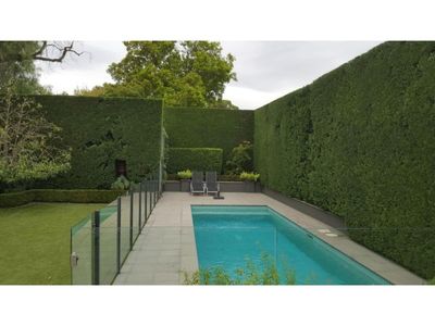 20264-hedge-trimming-business-reduced-for-quick-sale-1