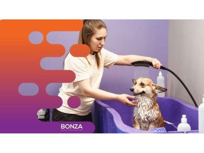 36275-mobile-dog-grooming-opportunity-with-strong-demand-2