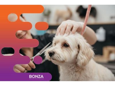 36775-busy-dog-grooming-salon-with-loyal-clientele-1