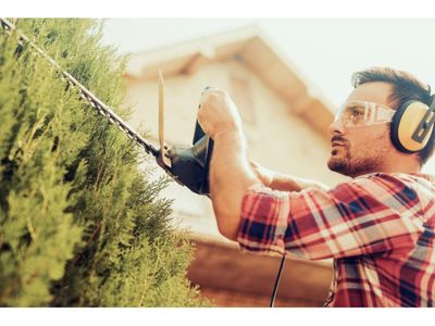 20264-hedge-trimming-business-reduced-for-quick-sale-0