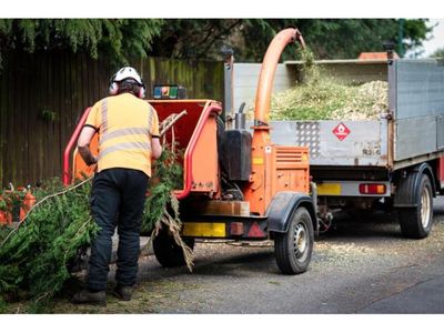 34493-profitable-amp-growing-tree-services-business-2