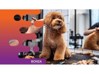 35061-thriving-dog-grooming-business-in-prime-location-2