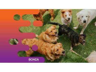 36113-profitable-dog-daycare-amp-grooming-business-2