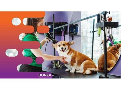 36635-profitable-mobile-dog-grooming-business-open-to-offers-2