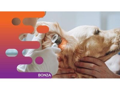 36686-profitable-mobile-veterinary-business-low-overheads-2
