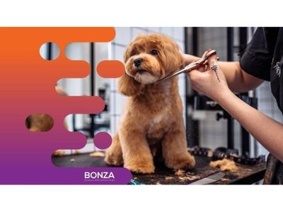 36275-mobile-dog-grooming-opportunity-with-strong-demand-1