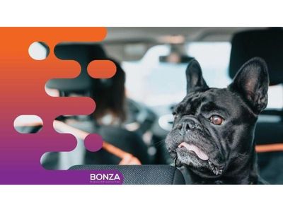 36452-profitable-online-business-ecommerce-in-premium-pet-niche-1