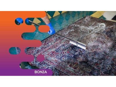 35641-reputable-carpet-cleaning-business-be-your-own-boss-2