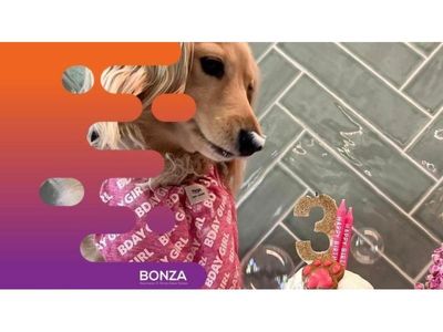 35203-profitable-dog-day-care-amp-retreat-repeat-customer-base-1