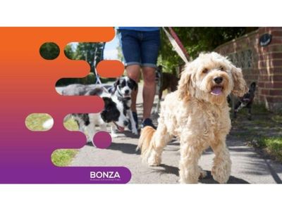 34391-profitable-dog-walking-business-with-ecommerce-store-2
