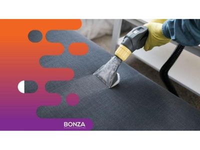35668-profitable-carpet-cleaning-amp-pest-control-business-expansion-potenti-2