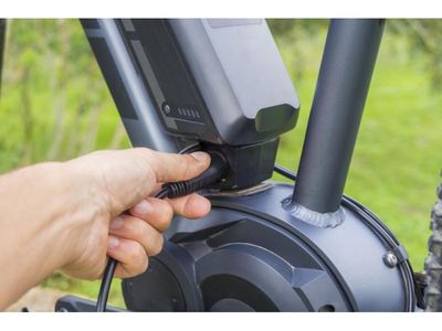23201-successful-amp-longstanding-electric-bicycle-retailer-lucrative-market-1