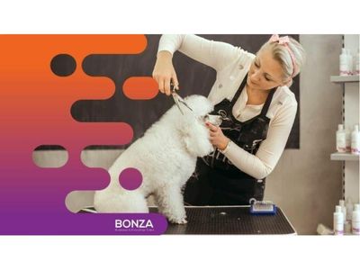 35482-popular-pet-grooming-salon-on-the-sunshine-coast-0