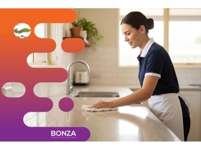 37285-domestic-cleaning-business-with-loyal-recurring-clients-1