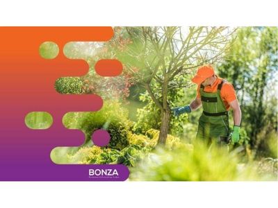 35246-well-established-tree-services-amp-arborist-business-2
