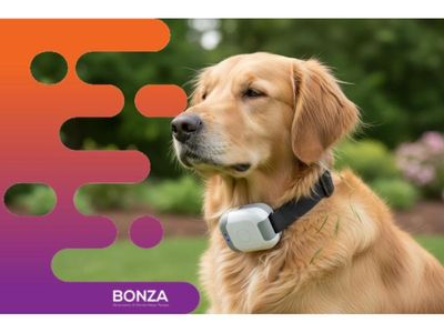 36789-leading-pet-solutions-business-with-proven-systems-2