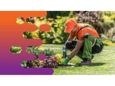 35539-established-lawn-mowing-amp-garden-maintenance-business-loyal-clientele-1
