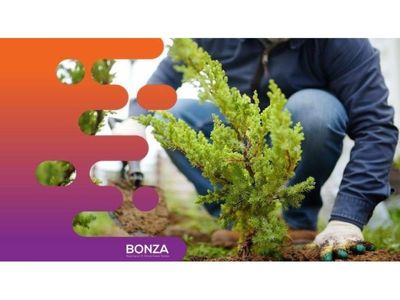 35201-highly-profitable-amp-growing-landscaping-business-0