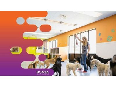 35643-established-dog-grooming-amp-daycare-business-growth-potential-2