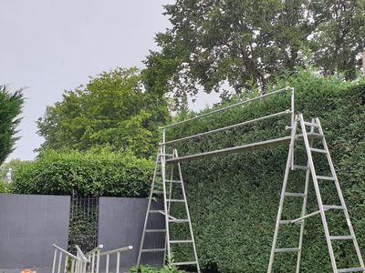 20264-hedge-trimming-business-reduced-for-quick-sale-3