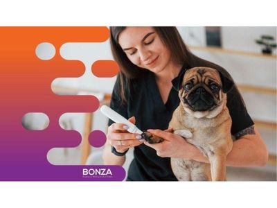 36275-mobile-dog-grooming-opportunity-with-strong-demand-0