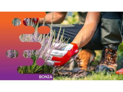 36659-established-amp-profitable-gardening-maintenance-business-0
