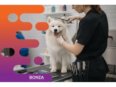 36626-profitable-amp-in-demand-dog-daycare-amp-grooming-business-1