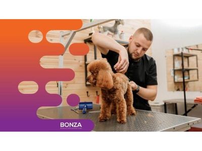 36113-profitable-dog-daycare-amp-grooming-business-1