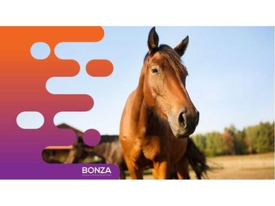 36071-profitable-livestock-product-brand-national-distribution-network-2