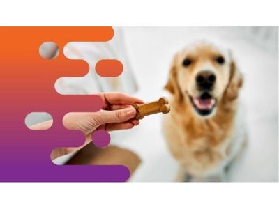 35663-established-pet-treat-business-flexible-profitable-home-based-0